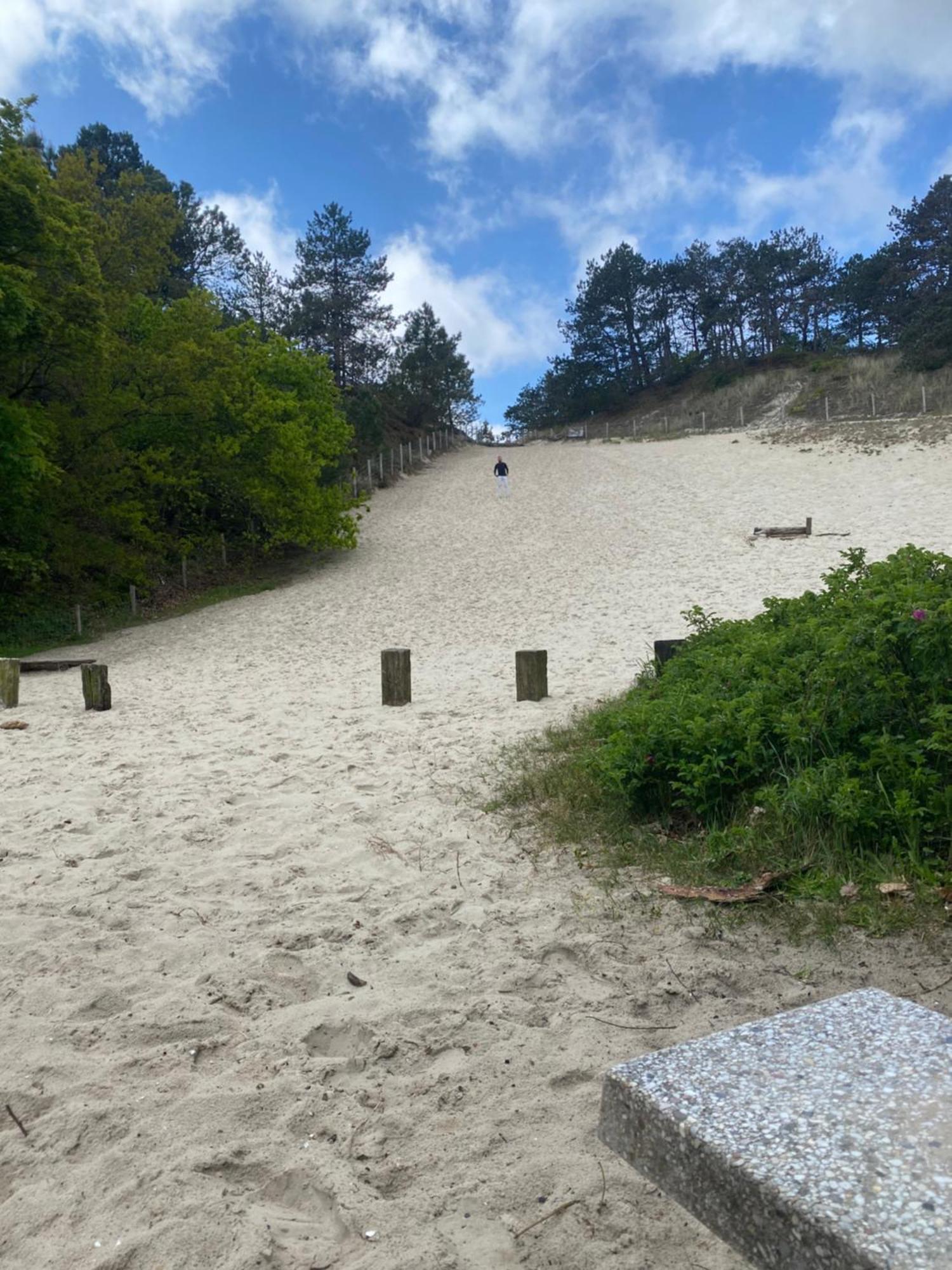 Eureka Vakantiehuisjes Schoorl Exteriör bild
