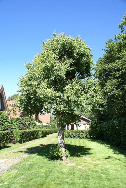 Eureka Vakantiehuisjes Schoorl Exteriör bild